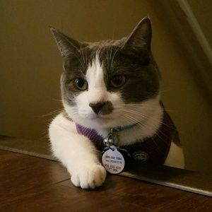 Meet your Posher, Whitney